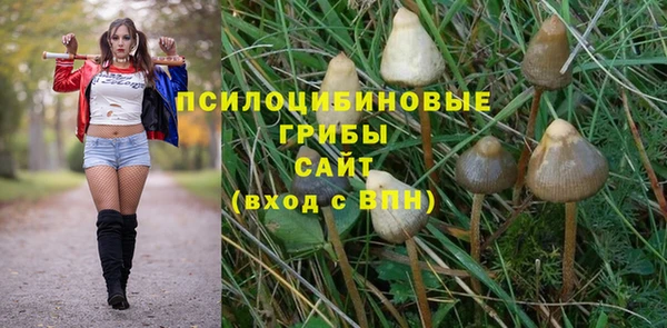 мдпв Богородицк