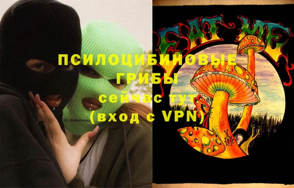 мдпв Богородицк