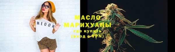 мдпв Богородицк