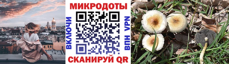 Галлюциногенные грибы GOLDEN TEACHER  Туран 